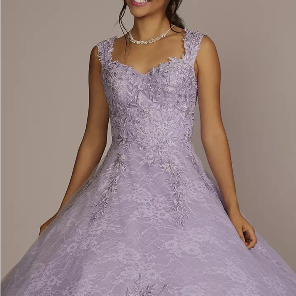 Fifteen Roses Lace Up Quinceañera Dress Size 20 Color Iris NWT